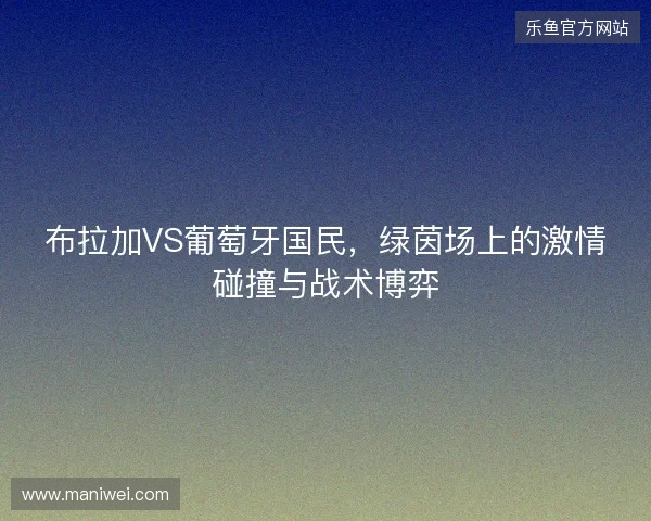 布拉加VS葡萄牙国民，绿茵场上的激情碰撞与战术博弈